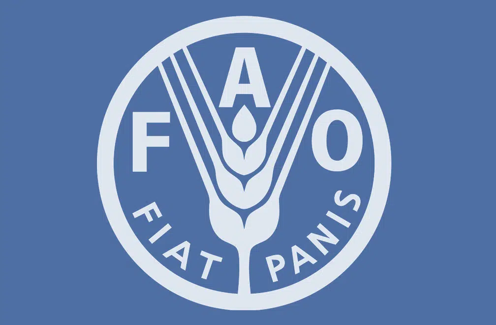 Food and Agriculture Organization of the United Nations